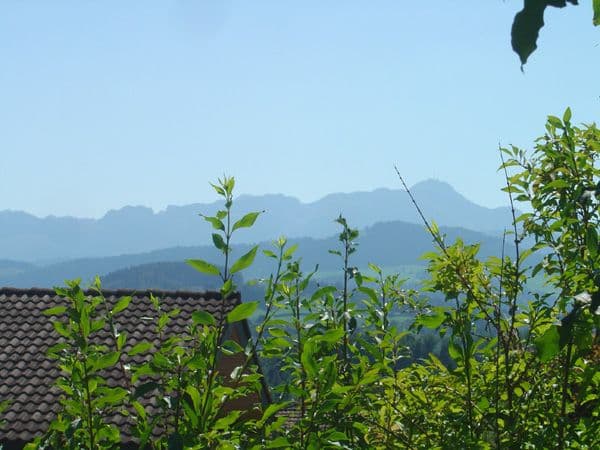 Einfamilienhaus Abtwil - Aussicht